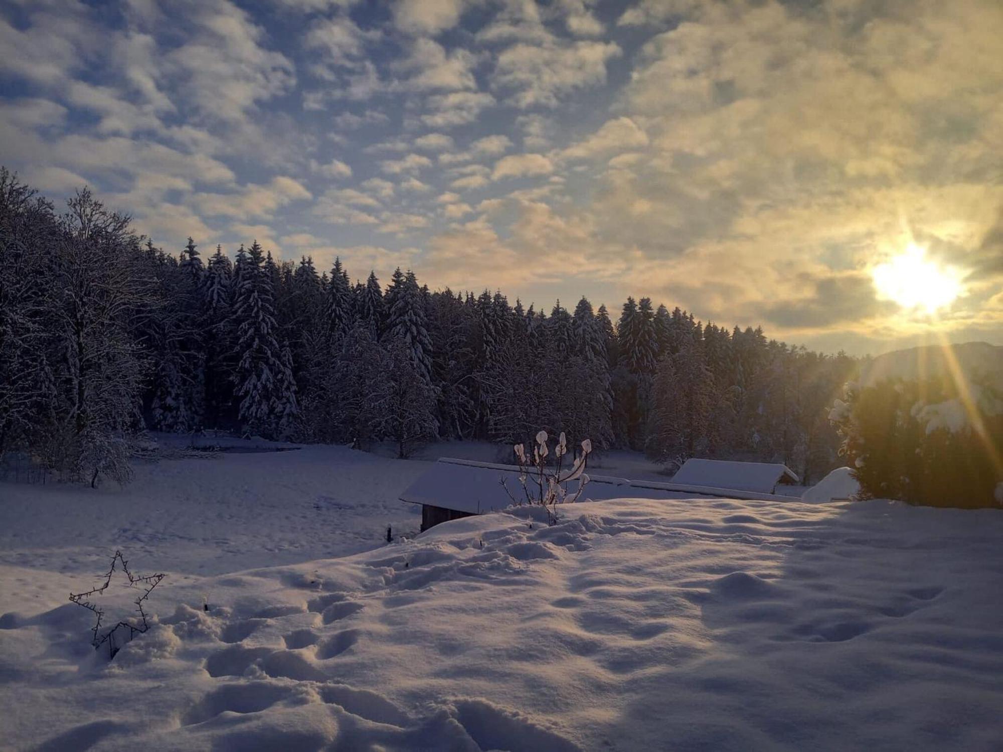 Ferienwohnung Im Bayerischen Wald Mit Terrasse Viechtach Extérieur photo
