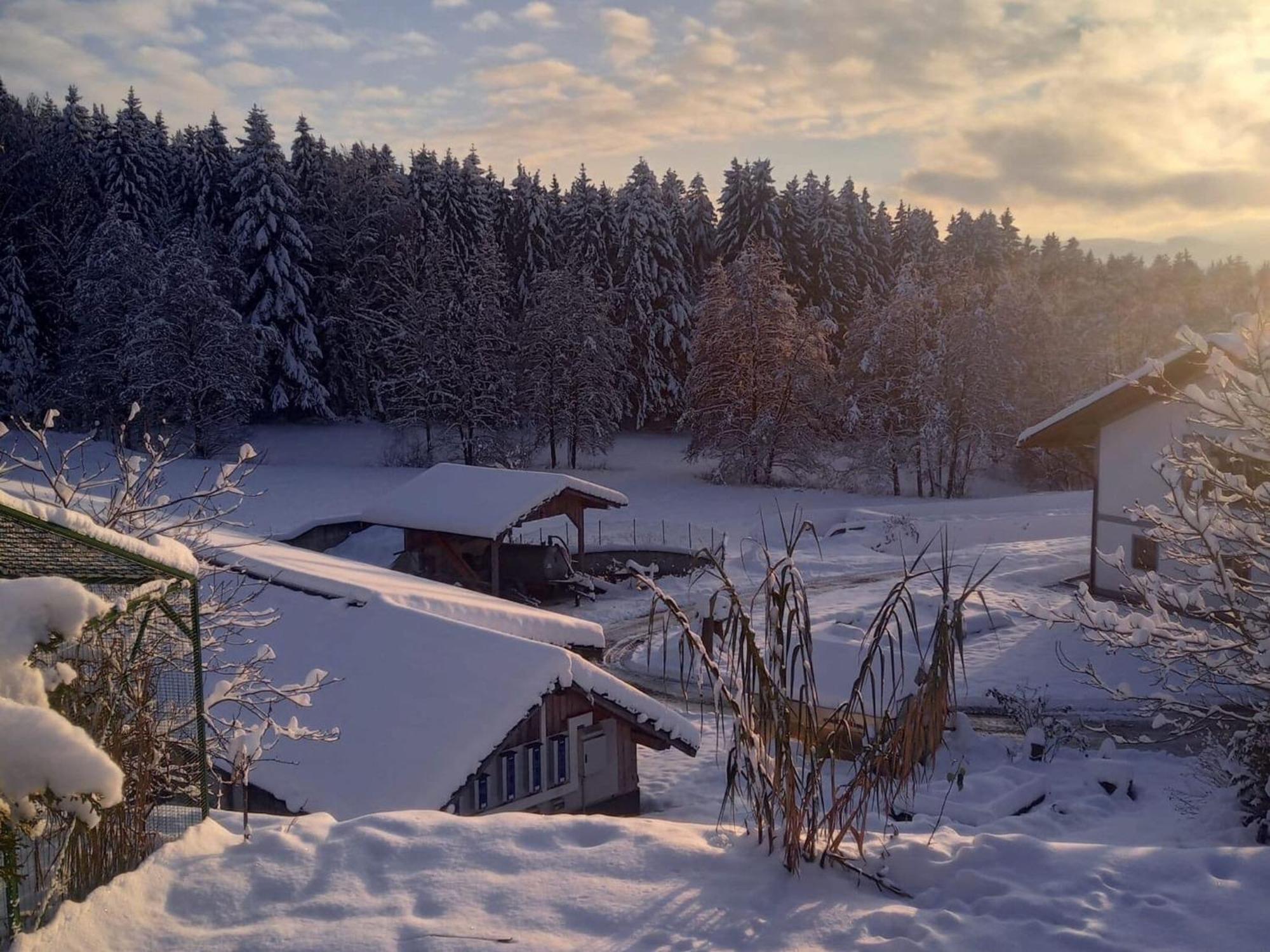 Ferienwohnung Im Bayerischen Wald Mit Terrasse Viechtach Extérieur photo